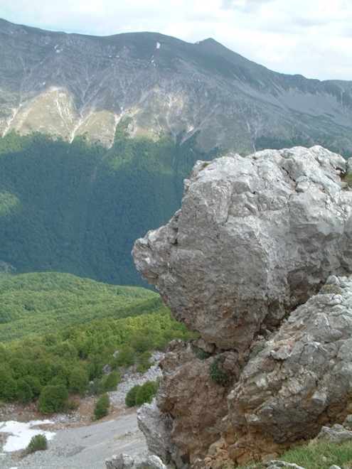 Sculture naturali